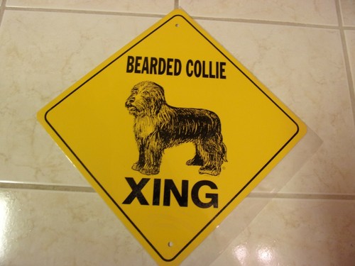 Bearded collie xing aluminum - collie,