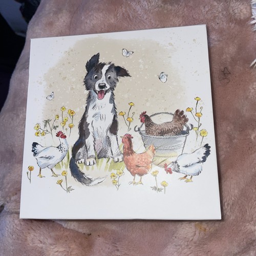 Paper shed design collie dog - collie,