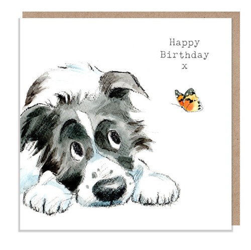 Collie dog and butterfly - and,