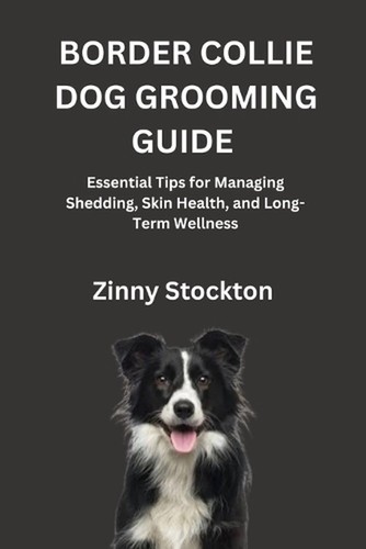 Border collie dog grooming - collie,