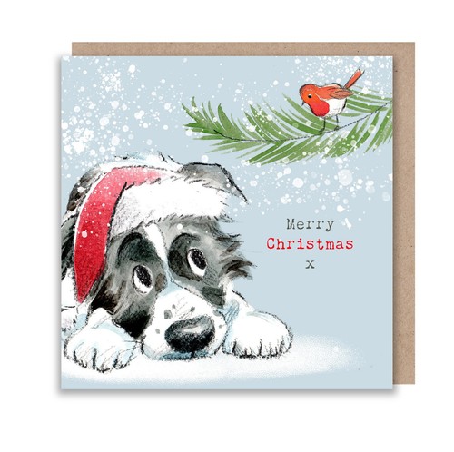 Lovely dog and robin - lovely,