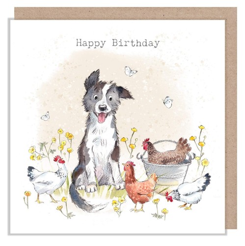 Dog birthday card collie - birthday,