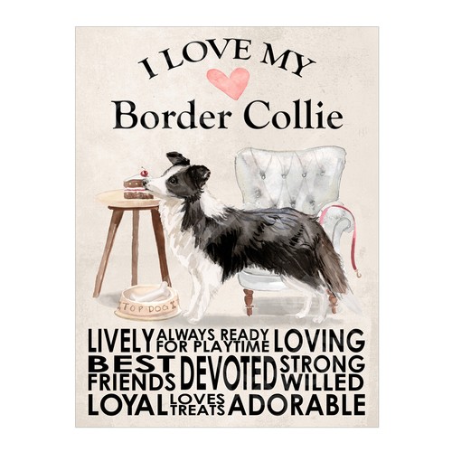 Love border collie dog - i,